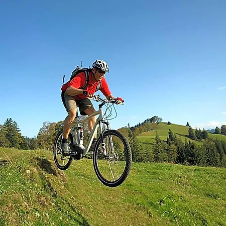 Vital-Hotel-Styria 4* Fladnitz an der Teichalm